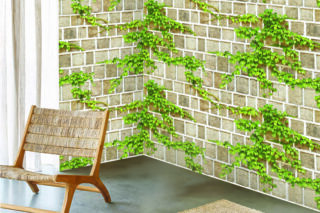 Giấy Dán Tường Natural 2025 - 88428-1