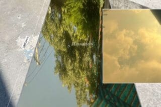 Tấm ốp Than tre - tráng gương vàng TT 812, 813