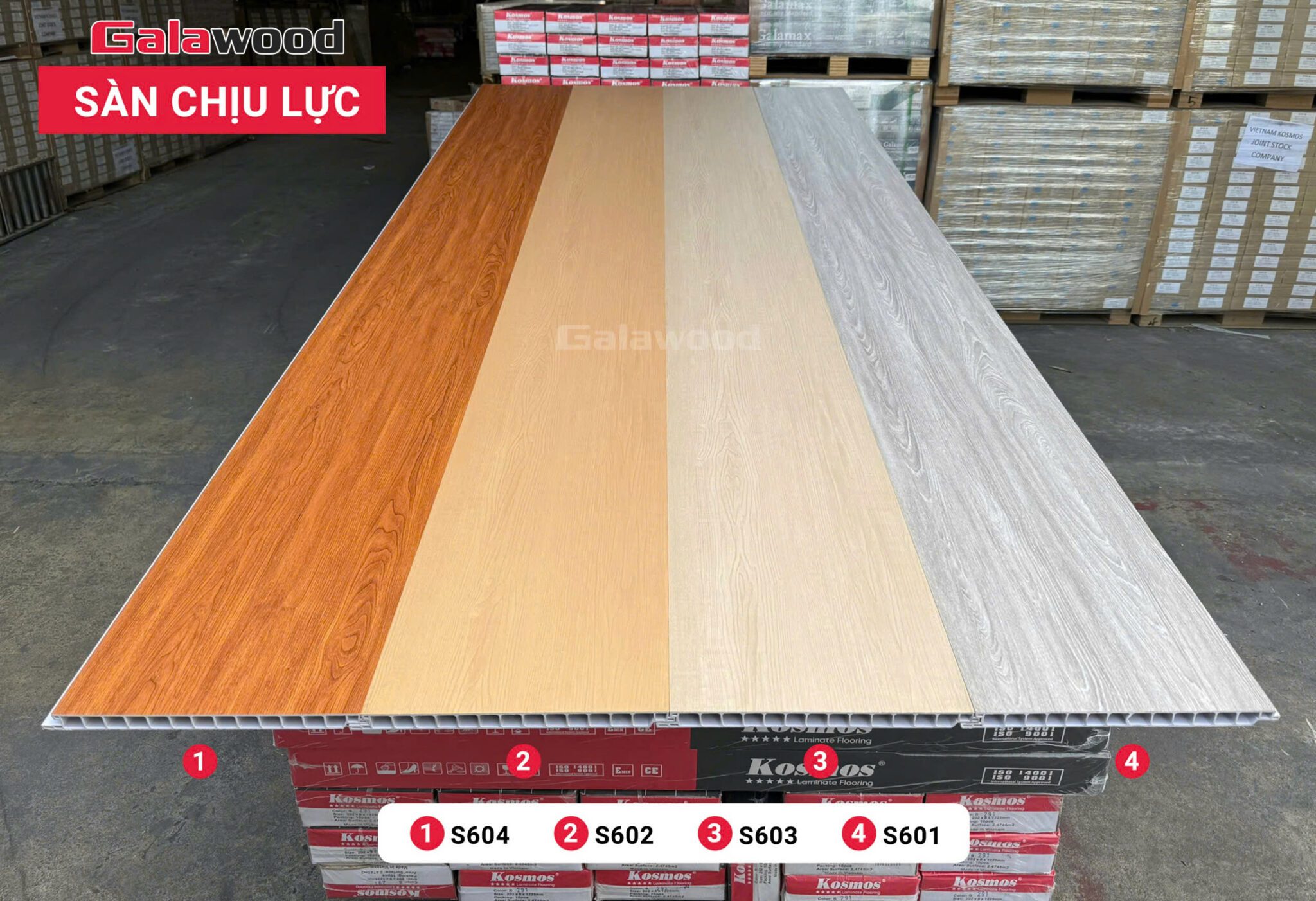 Bộ sàn nhựa chịu lực Galawood màu vân gỗ vàng sồi, xám vân gỗ và trắng ngà tại showroom Sàn Gỗ Thiên Ngân
