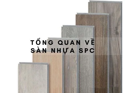 Tìm Hiểu Sàn Nhựa SPC - Lựa Chọn Tối Ưu Cho Không Gian Sống