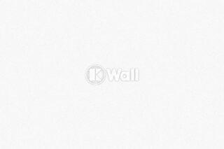 Giấy dán tường Promise Korea 52505 - Trơn Trắng Ngà Hiện Đại