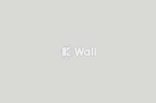 Giấy dán tường Promise Korea 52505 - Trơn Trắng Ngà Hiện Đại