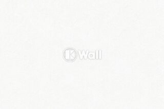 Giấy dán tường Promise Korea 52517 - Trơn Vữa Trắng Ngà Sang Trọng