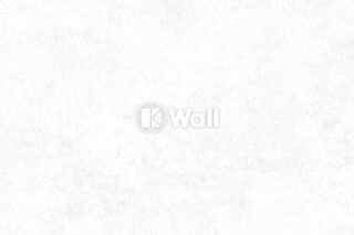 Giấy dán tường Promise Korea 52523 - Vữa Loang Xám Trắng Đá Tự Nhiên