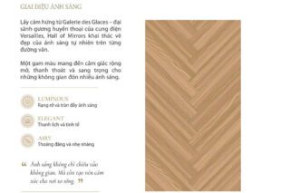 Sàn Kobler Versailles 10 lắp đặt hành lang - Sàn Gỗ Thiên Ngân